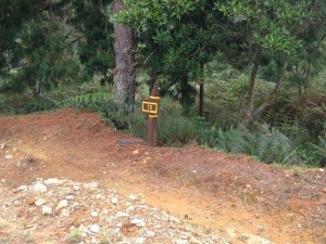 vendo lote parcelacion las palmas (4)