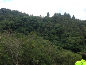 vendo lote parcelacion las palmas (7)