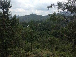 vendo lote parcelacion las palmas